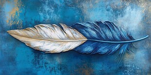 梦幻双色羽毛艺术画作