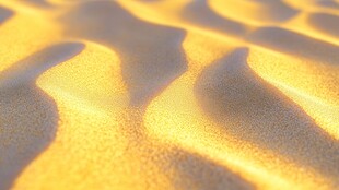 金色沙海的细腻纹理