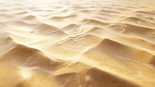 金色沙海纹理特写