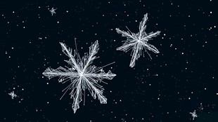 夜空中的精美雪花图案