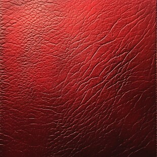 红色皮革纹理特写