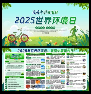 环境日