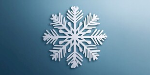 简约白色雪花装饰图案