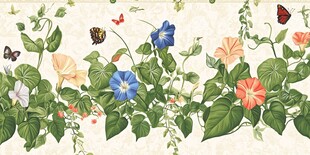 牵牛花与蝴蝶的清新图景