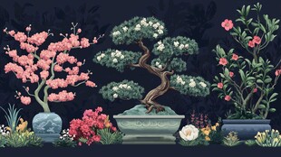 中式盆景花卉景观插画