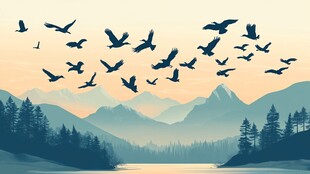 群鸟翱翔于山水之间