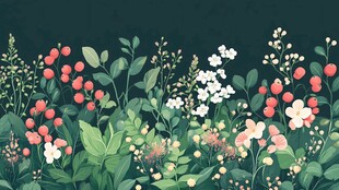 清新花草植物插画