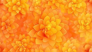 橙黄色花卉背景图案