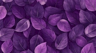 紫色叶片背景纹理图案