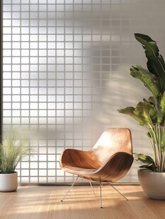 简约室内的木椅与绿植