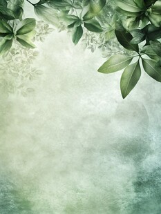 绿叶淡彩背景图