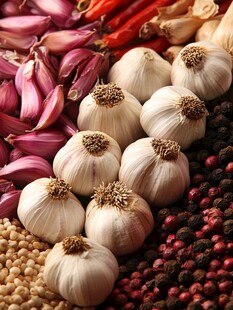 多彩香料与大蒜的诱人组合