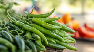 新鲜青辣椒堆放在一起