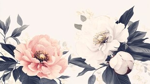 两色牡丹花卉精致插画