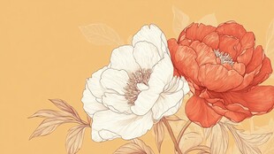 双色牡丹花卉插画