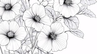 黑白花卉线描图
