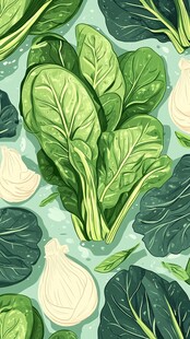 新鲜蔬菜插画 菠菜与洋葱
