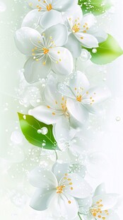 清新白色花朵绿叶背景图