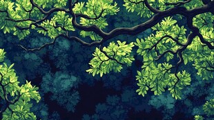 繁茂绿叶下的幽谧森林