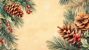 圣诞松枝松果装饰背景图