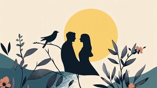 夕阳下的恋人与飞鸟