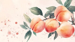 水彩绘鲜桃枝叶图