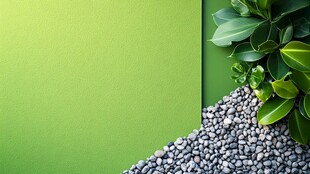 翠绿背景下的绿植与砾石