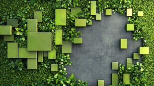 绿植方块环绕的灰色空间