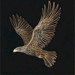 金色飞鹰图案设计