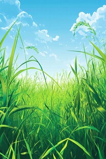 蓝天绿草间的清新自然