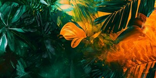 热带植物梦幻光影世界