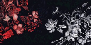 红黑白花饰图案设计