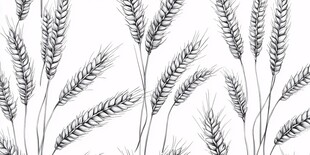 手绘麦穗图案背景纹理