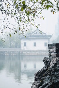 湖畔古景 枝叶低垂映水间