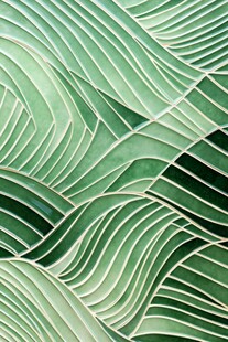 绿色波浪纹理艺术图案
