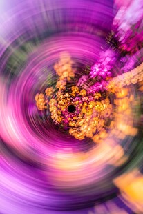 梦幻花卉旋转特效画面