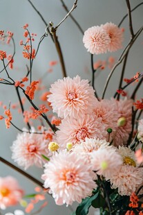 粉色菊花插花雅致景致