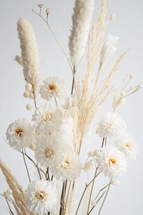 白色花卉与草的优雅组合