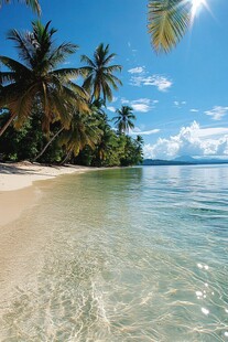 热带沙滩海景 阳光棕榈树