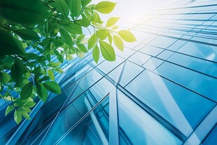 绿叶映高楼 都市清新景