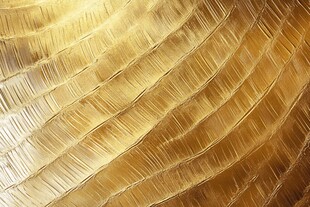 金色纹理艺术图案