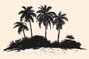 热带岛屿棕榈树风景