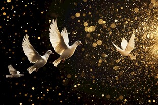 白鸽于金粉中展翅翱翔