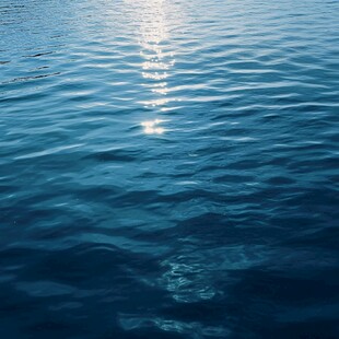 波光粼粼的水面与阳光