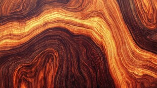 绚丽木纹纹理特写