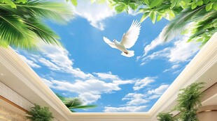 天空白鸽绿植室内天花板景