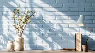 蓝墙前的清新绿植摆件