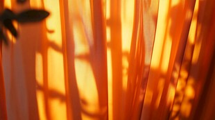夕阳下飘动的橘色窗帘