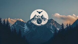 月夜山景 飞鸟翱翔