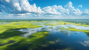 广袤湿地风光